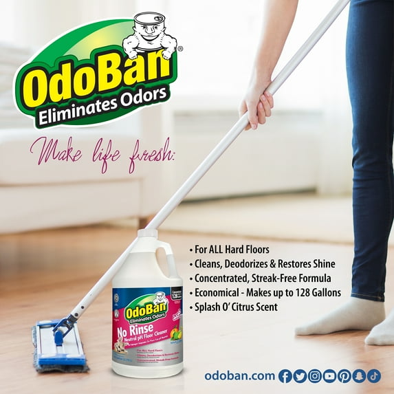 OdoBan Pet Solutions No Rinse Neutral pH Floor Cleaner Concentrate, 1 Gallon